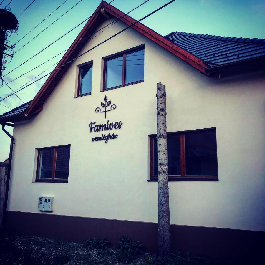 Famives Vendeghaz Bed & Breakfast Racul Exterior foto